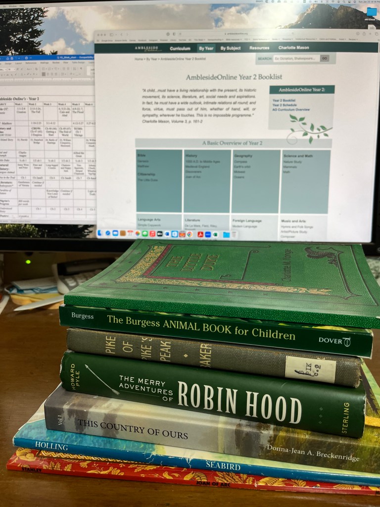 A stack of books in front of a computer monitor.