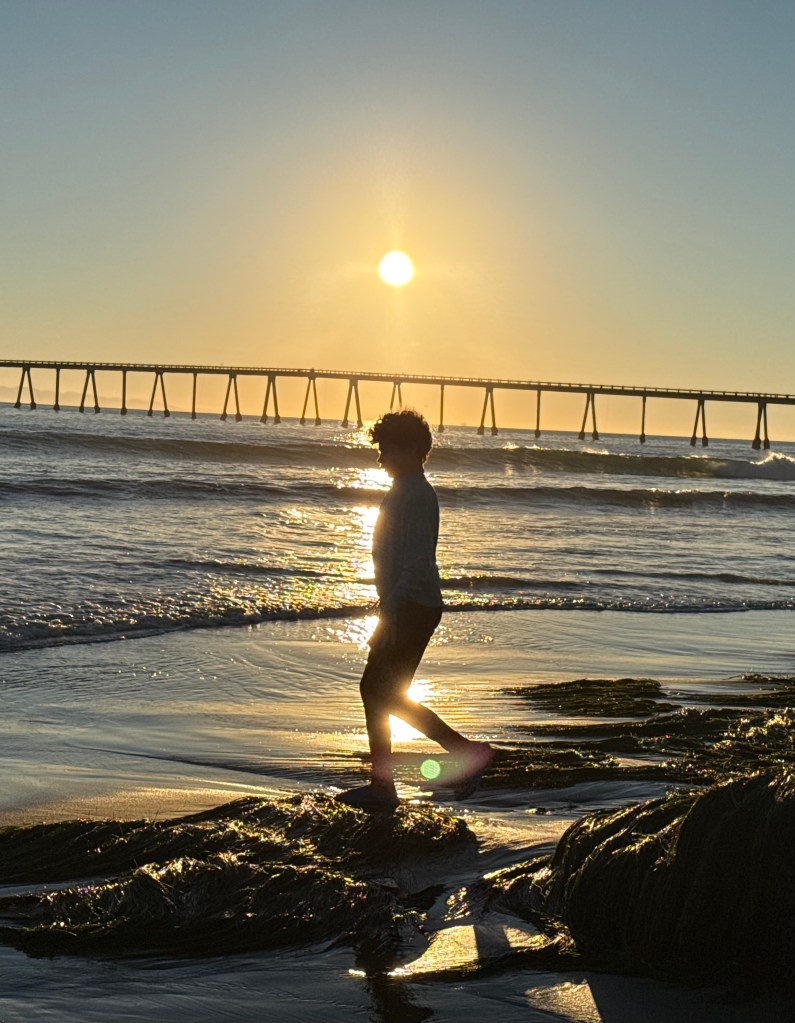 A boy walking through the sun's reflection on the ocean and wet beach as it is setting behind a pier