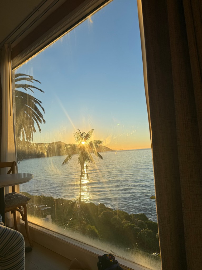 A photo of sunrise over the ocean, silhouetting a palm tree taken out of a hotel window