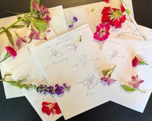 dissected pink and purple flowers spread of the drawings of them in children's science journals
