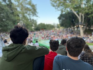 The back of three children's heads looking down into an outdoor stage surrounded by an audience.