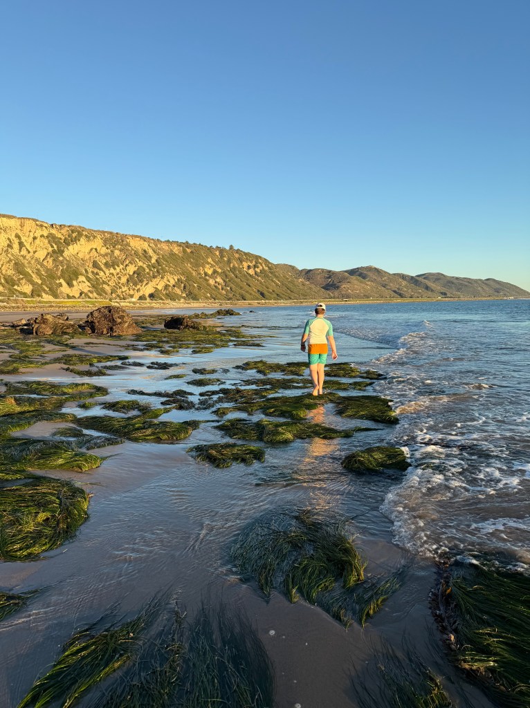 A child walking away through the tide pools